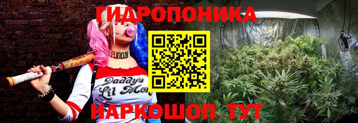 Шишки марихуана гибрид Касимов